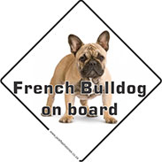 Pet on board signs