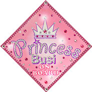 Personalised baby on board signs